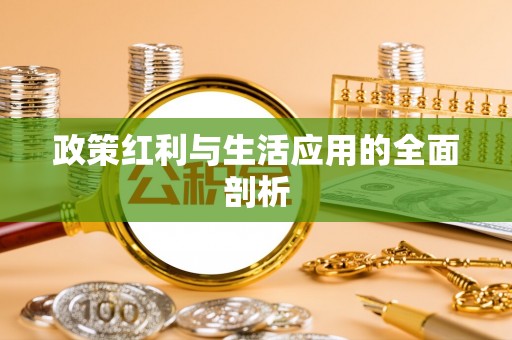道县政策红利与生活应用的全面剖析
