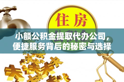 道县小额公积金提取代办公司，便捷服务背后的秘密与选择指南