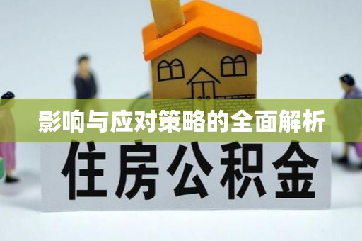 道县影响与应对策略的全面解析