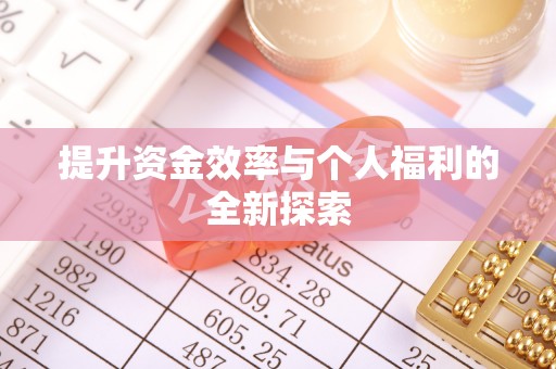 道县提升资金效率与个人福利的全新探索