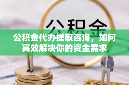 道县公积金代办提取咨询，如何高效解决你的资金需求
