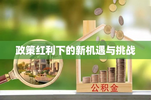 道县政策红利下的新机遇与挑战