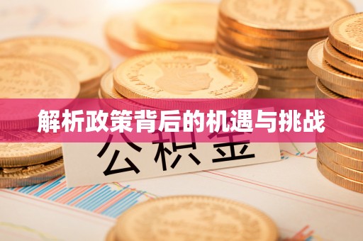 道县解析政策背后的机遇与挑战