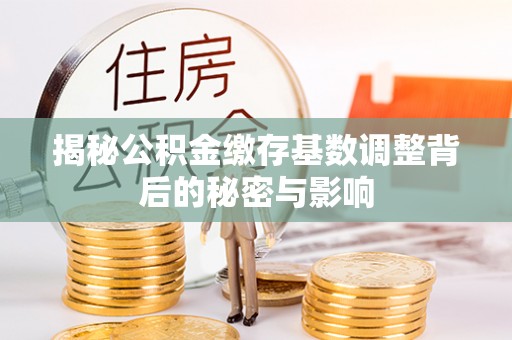 道县揭秘公积金缴存基数调整背后的秘密与影响
