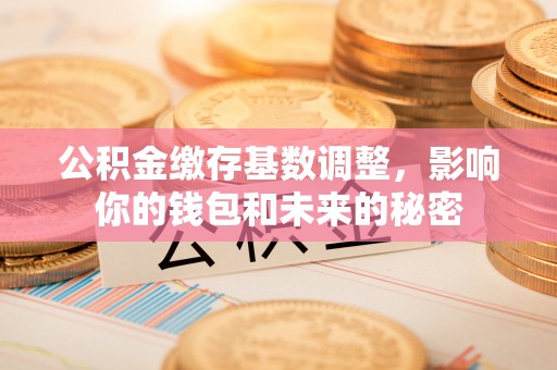 道县公积金缴存基数调整，影响你的钱包和未来的秘密