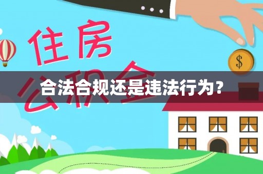 道县合法合规还是违法行为？