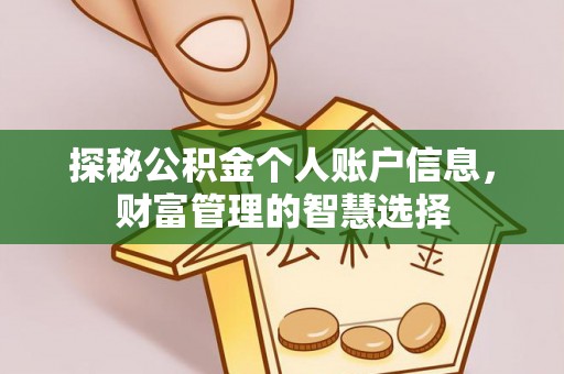 道县探秘公积金个人账户信息，财富管理的智慧选择