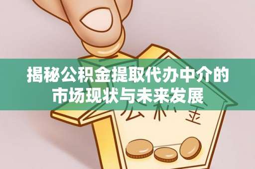 道县揭秘公积金提取代办中介的市场现状与未来发展