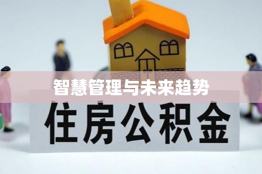 道县智慧管理与未来趋势