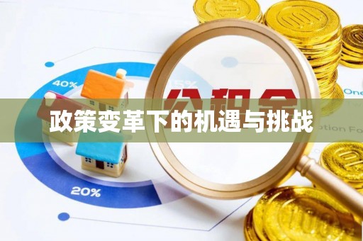 道县政策变革下的机遇与挑战