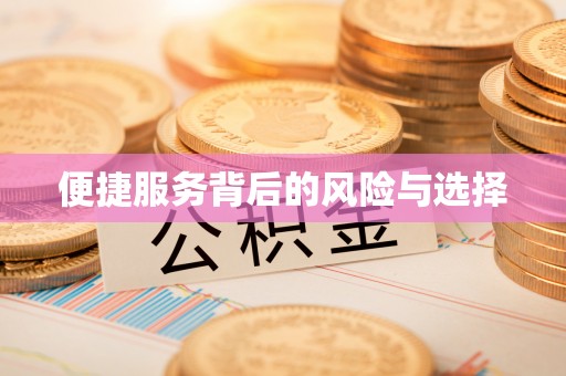 道县便捷服务背后的风险与选择