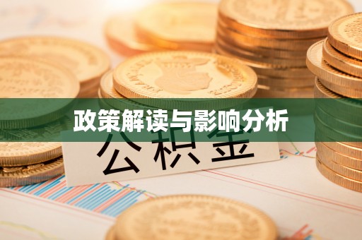 道县政策解读与影响分析