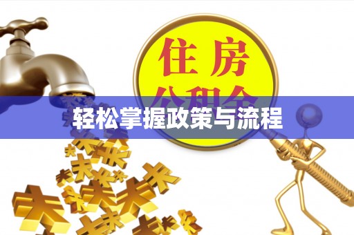 道县轻松掌握政策与流程