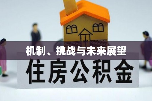 道县机制、挑战与未来展望