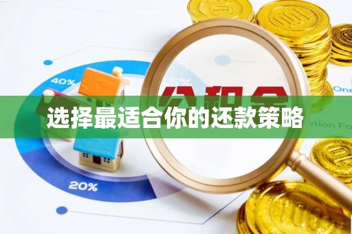 道县选择最适合你的还款策略