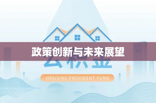道县政策创新与未来展望