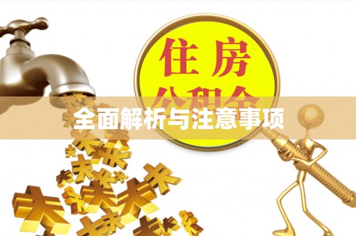 道县全面解析与注意事项