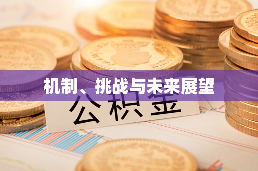 道县机制、挑战与未来展望