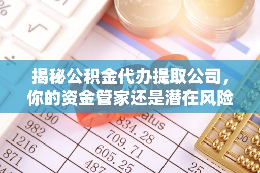 道县揭秘公积金代办提取公司，你的资金管家还是潜在风险？