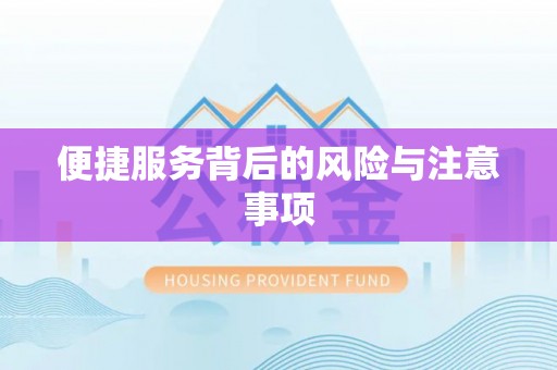 道县便捷服务背后的风险与注意事项