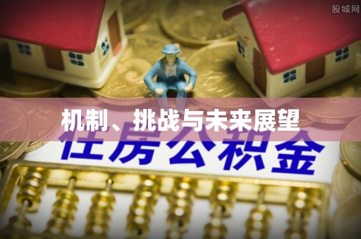 道县机制、挑战与未来展望